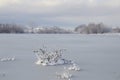 View of the lake in winter time in December