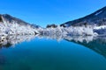 View of lake at Zelenci in Gorenjska