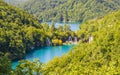 View of the lakes Milanovac and Kozjak