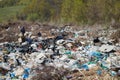 A view of the landfill. Garbage dump. A pile of plastic rubbish, food waste and other rubbish. Pollution concept. A sea of garbage Royalty Free Stock Photo