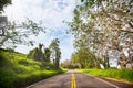 Road on Hawaii