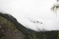 View landscape of alps mountain with clouds at Biberwier, Austria Royalty Free Stock Photo