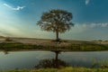 View of the landscape at the Chobe River in Botswana Royalty Free Stock Photo
