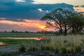 View of the landscape at the Chobe River in Botswana Royalty Free Stock Photo