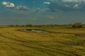 View of the landscape at the Chobe River in Botswana Royalty Free Stock Photo