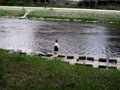 View landscape cityscape and life lifestyle japanese people with foreign travelers travel visit play and rest relaxation riverside