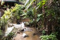 View landscape and creek of Mae Kampong Waterfall on Doi Mon Lan in Baan Mae Kampong peaceful Village valley hill for thai people Royalty Free Stock Photo