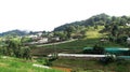 View landscape forest jungle and cityscape village countryside rural at Mon Jam mountain hill for thai people travelers journey