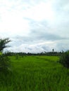 View of landscape in Indonesia village