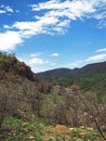 VEGETATION AND ROCK ON SLOPING TERRAIN WITH HILLS IN BACKGROUND Royalty Free Stock Photo