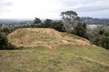 View on a landscape of One Tree Hill with tussock grass, pine trees and city in the background