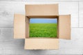 View of landscape through open cardboard packaging Royalty Free Stock Photo