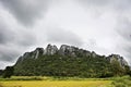 View landscape paddy rice field and landmarks KaoNor KaoKaew Limestone mountains for thai people and foreign travelers travel