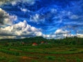 View landscape rice fields Royalty Free Stock Photo