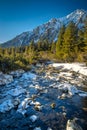 View of the landscape with stream in vallye of snowy mountains Royalty Free Stock Photo