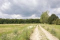 View on the landscape of the Veluwezoom, a beautiful national park in Gelderland.