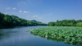 Landscape of West Lake with lotus leaves, and Baochu Pagoda on top of Baoshi Hill, in Hangzhou, China