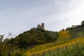 View at Landshut castle in Bernkastel-Kues on the river Moselle in autumn with multi colored vineyards Royalty Free Stock Photo