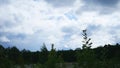 View Landskap mountains trees sky Fog