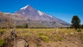 View of Lanin Volcano in National Park of Argentina