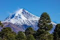 View of the Lanin Volcano from the road to Tromen Lake in Neuquen, Argentina. This volcano is covered by eternal snow