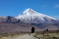 View of the Lanin Volcano from the road to Tromen Lake in Neuquen, Argentina. This volcano is covered by eternal snow