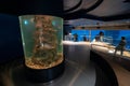 View of large aquarium inside Montreal Biodome with fish. Royalty Free Stock Photo