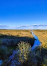 View of a large crayfish lake. State Natural Reserve Cancer Lakes , St. Petersburg Royalty Free Stock Photo