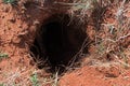 LARGE GAPING OPENING OF AN UNDERGROUND ANIMAL DWELLING