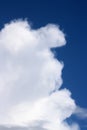 Fluffy white cloud resembling a face in blue sky