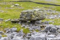 A view of a large glacial erratic on limestone pavement on the southern slopes of Ingleborough, Yorkshire, UK Royalty Free Stock Photo