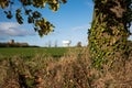 View of a large oak tree, its branches and Ivy seen climbing up its trunk at the edge of a farm field. Royalty Free Stock Photo