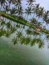 The view of a large pond in the middle of rice fields with a small hut in the middle gives a calming and cool impression.