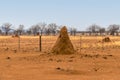 A view of large red conical termite mound in Namibia Royalty Free Stock Photo