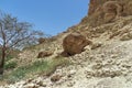 View of a large stone on a mountain amidst the beautiful unspoilt vegetation of the Ein Gedi Israel nature park. on a clear sunny Royalty Free Stock Photo
