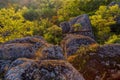 A view of the boulders surrounded by a dense forest in the rays of sunrise.