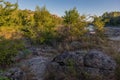 A view of the boulders surrounded by a dense forest in the rays of sunrise.