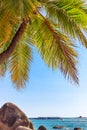 View of large stones, boulders and palm trees on the shore of the South China Sea. Sanya, China. Royalty Free Stock Photo