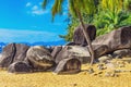 View of large stones, boulders and palm trees on the shore of the South China Sea. Sanya, China. Royalty Free Stock Photo