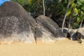 View of large stones, boulders and palm trees on the shore of the South China Sea. Sanya, China. Royalty Free Stock Photo