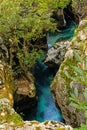The large troughs of the SoÃÂa River in Slovenia