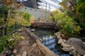 View of Laurentian Maple Forest section inside Montreal Biodome Royalty Free Stock Photo