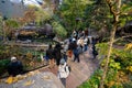 View of Laurentian Maple Forest section inside Montreal Biodome. Royalty Free Stock Photo
