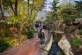 View of Laurentian Maple Forest section inside Montreal Biodome. Royalty Free Stock Photo