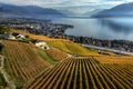 View on Lavaux region by autumn day, Vaud, Switzerland Royalty Free Stock Photo