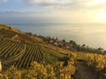 View of the Lavaux terraces, lake LÃÂ©man and mountains in the background, Switzerland