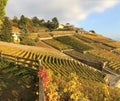 View of the Lavaux terraces, Switzerland Royalty Free Stock Photo