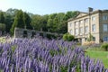 Lavender Garden at Claverton Manor American Museum Royalty Free Stock Photo