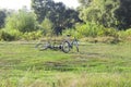 View of the lawn on the edge of a forest and a couple of abandoned bicycles