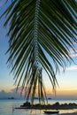 View through the leaves of palm trees on the ocean. There is a wooden boat on the water. Sunset. Sand beach. Romance Royalty Free Stock Photo